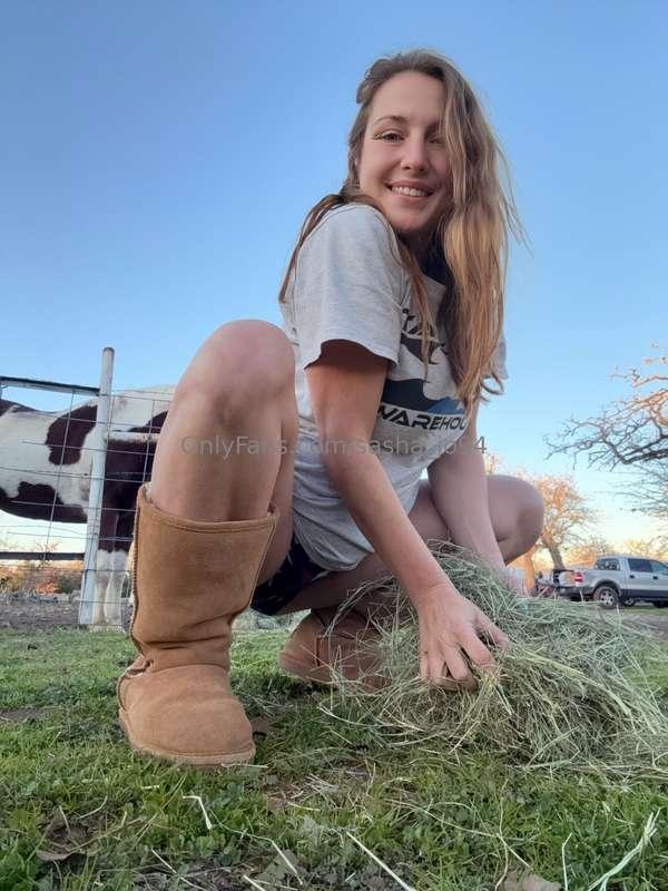 The best way to feed my horses is with my titties out for al..