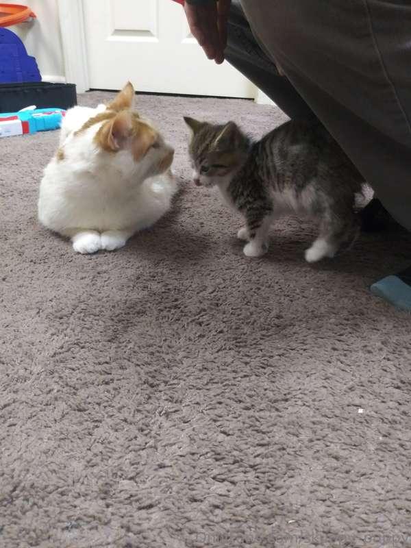 Not a spicy post but wanted to let you guys know pictures we..