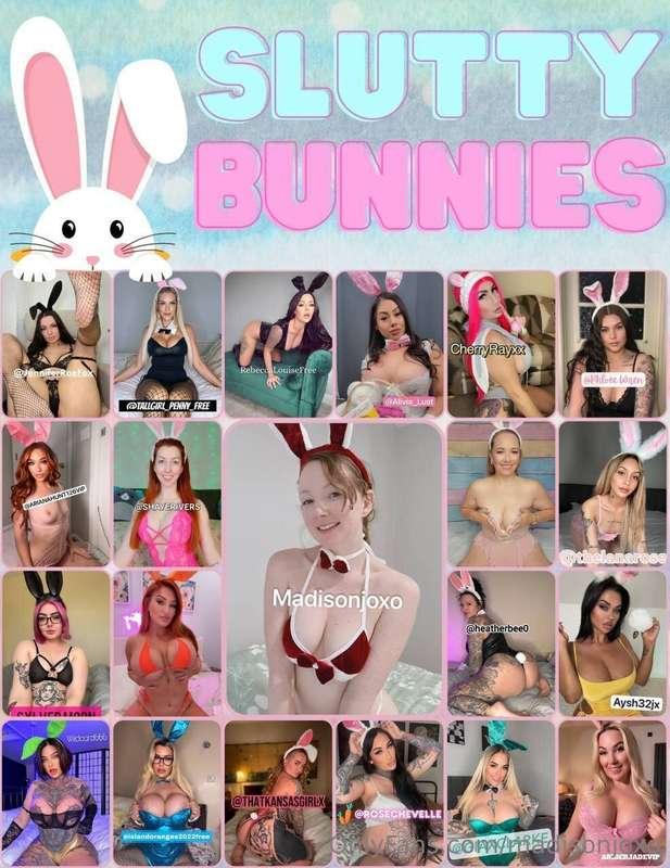 Us Easter bunnies 🐰 are feeling hungry for some cock🍆! send ..