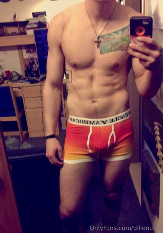 dillonator image #5