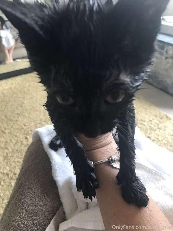 Wet pussy 🤦🏼‍♀️🤦🏼‍♀️🤦🏼‍♀️ She jumped in my bath!!!! Silly co..