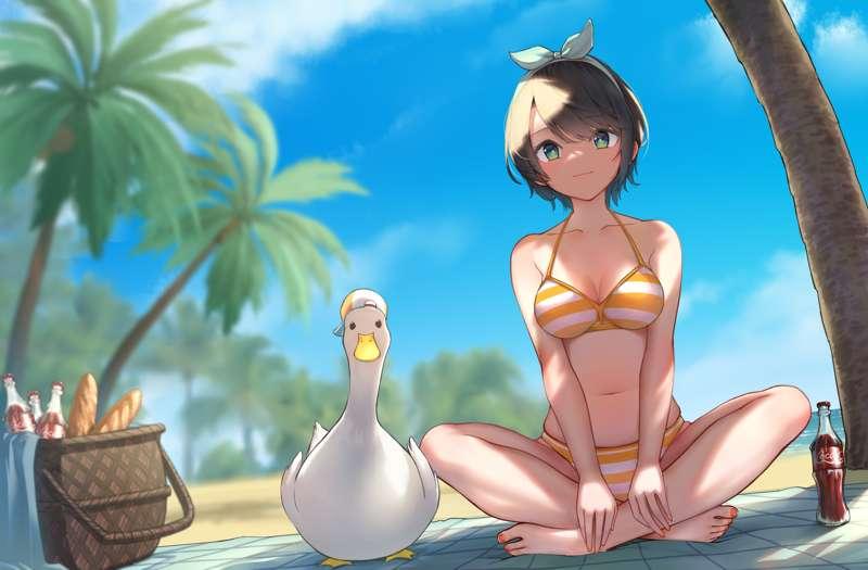 Summer Duck PSD