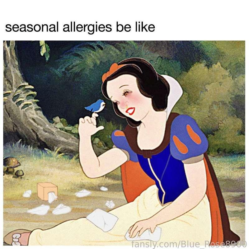 Seasonal Allergy Sneezes 💐🤧🔥 

Sneezing and talking, no nose blowing in this clip 💜 

#sneeze #fetish #sniffle #achoo #allergy #allergies #natural #sneezing
