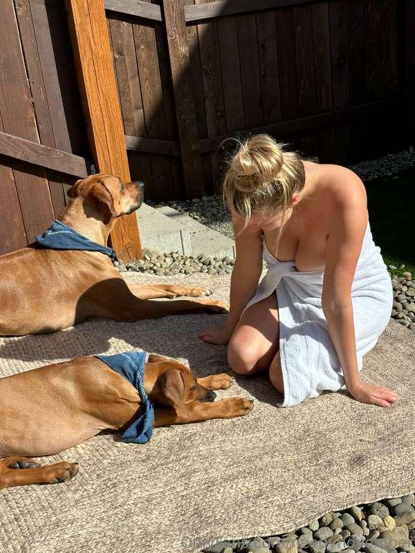 hounds and honkers 😺