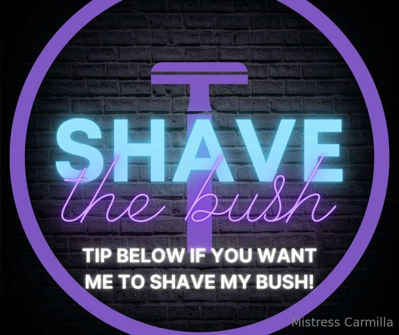 ***SHAVE THE BUSH***  For those of you who would like to see..