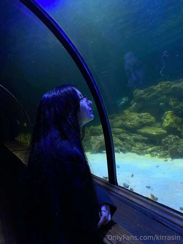 A wonderful day spent at the oceanarium🪸, where I got to see..