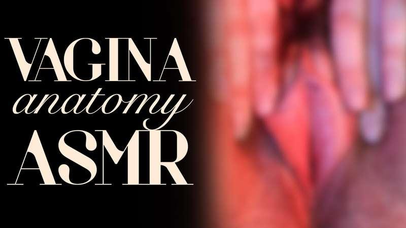 "Vagina Anatomy ASMR" Get an eyeful of my luscious pussy in ..