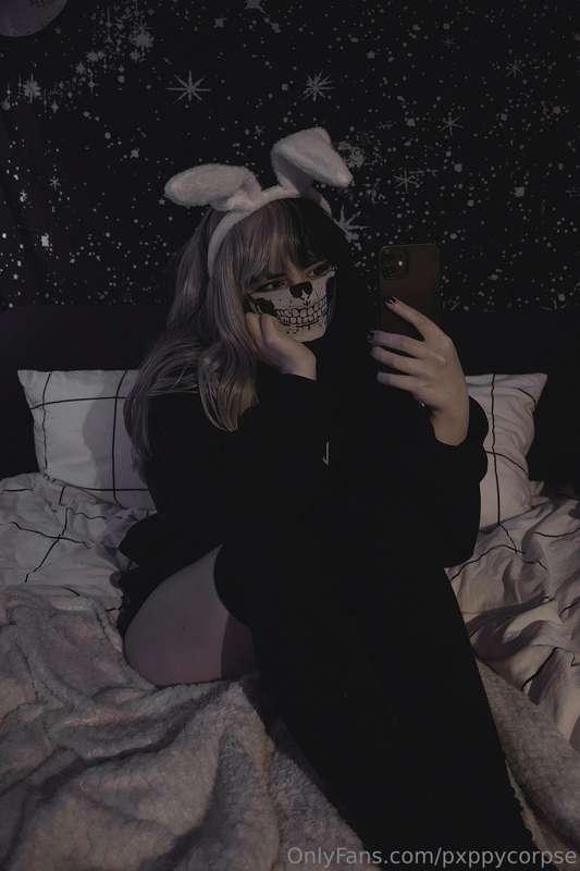 pxppycorpse image #3