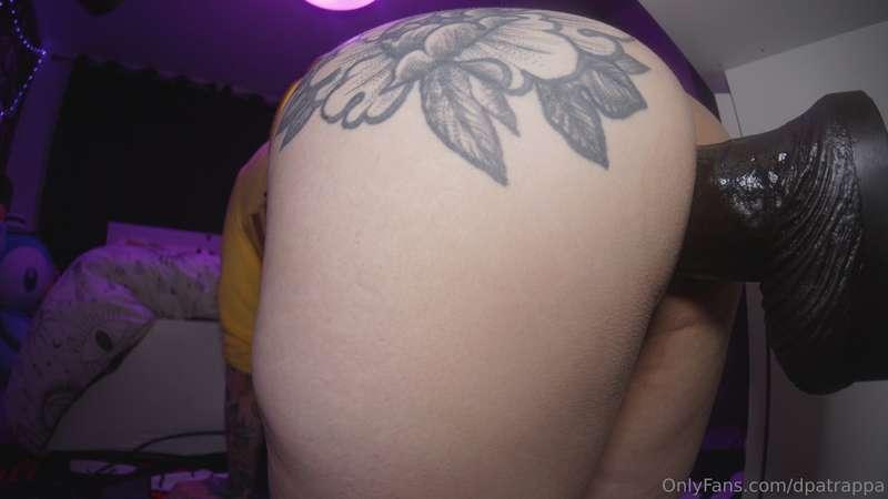 dpatrappa image #19