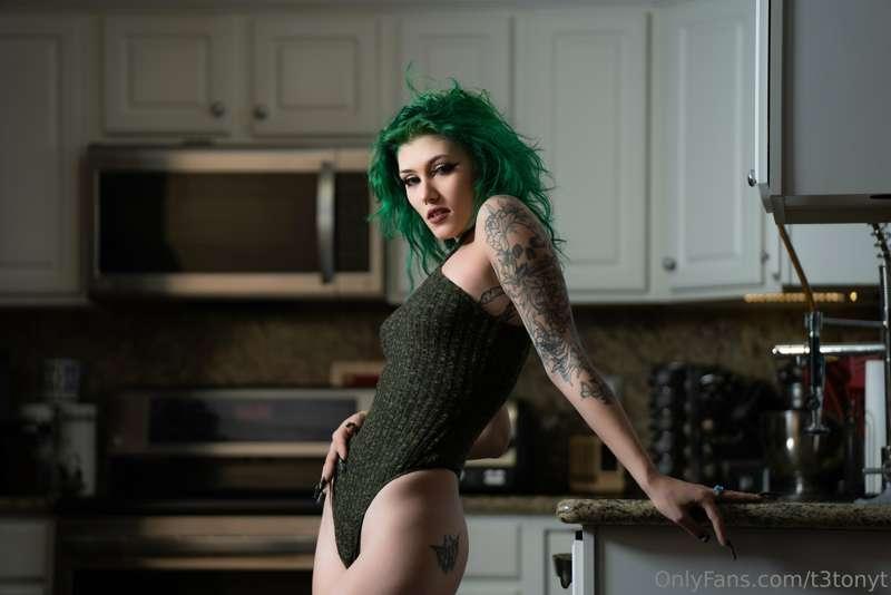 Harley plays in the kitchen!