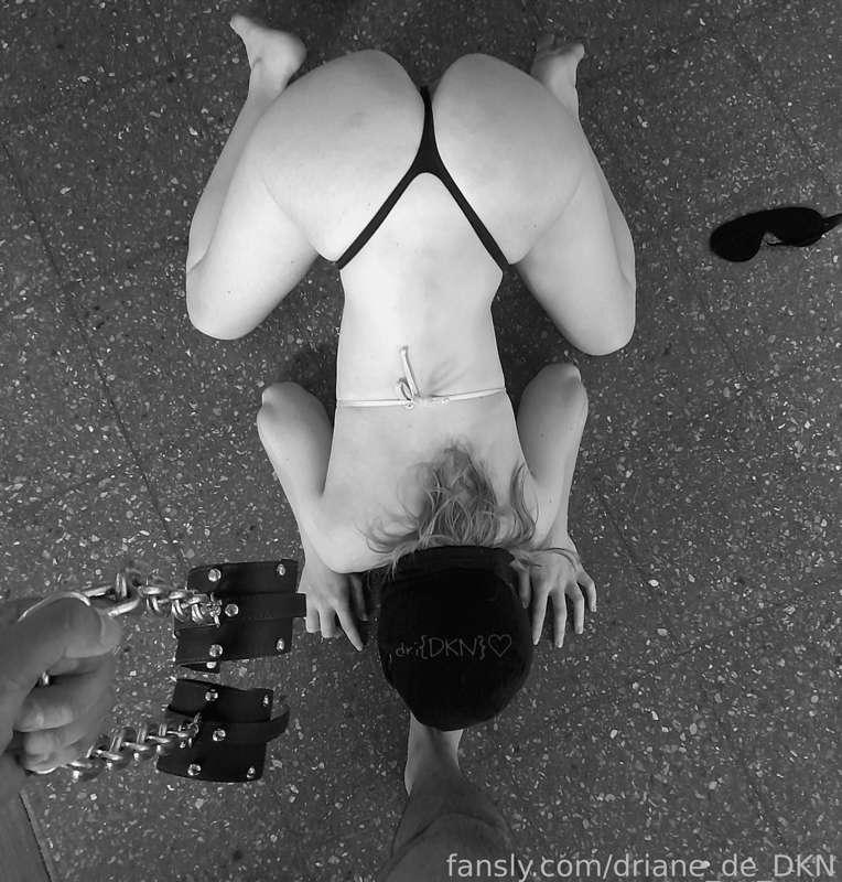 driane_de_dkn image #3
