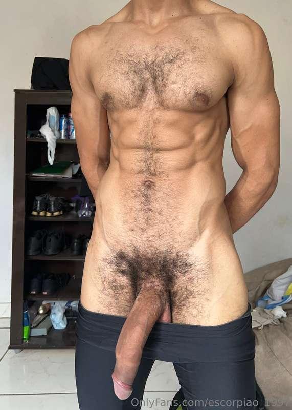 My horse cock especially for you 🍆🍆