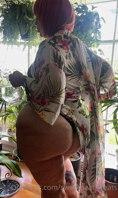 🌿Come water me💦
https://onlyfans.com/sweetheat143