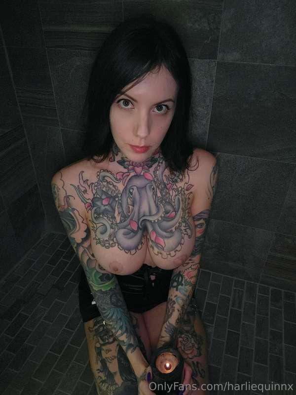 harliequinnx image #0
