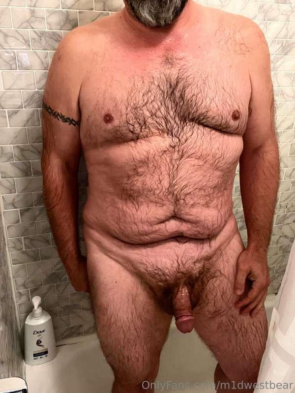 m1dwestbear image #0