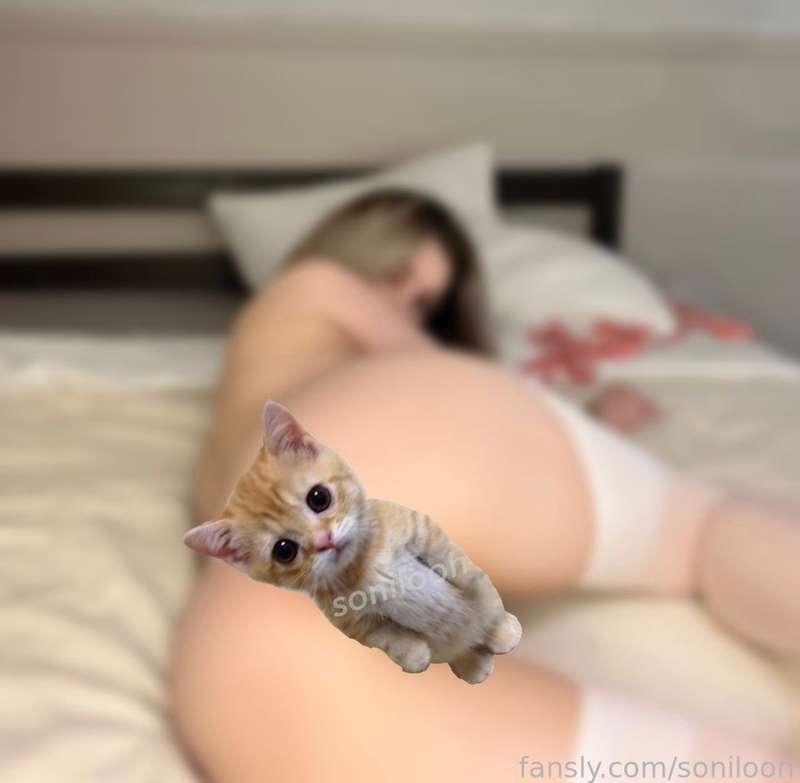 kitty-kitty 