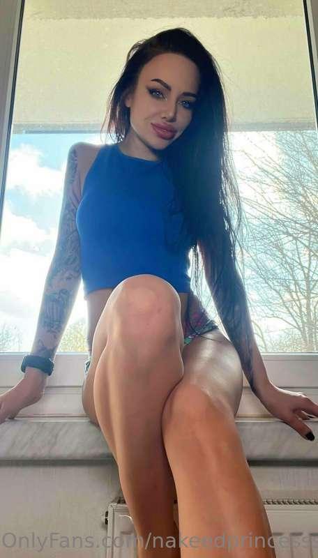 I like to sit on the windowsill, bask in the sun and read er..