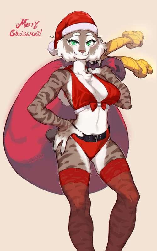 Merry Christmas!