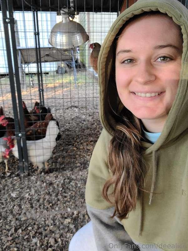 Cold or not I still have to take care of my ladies 🐔❤️