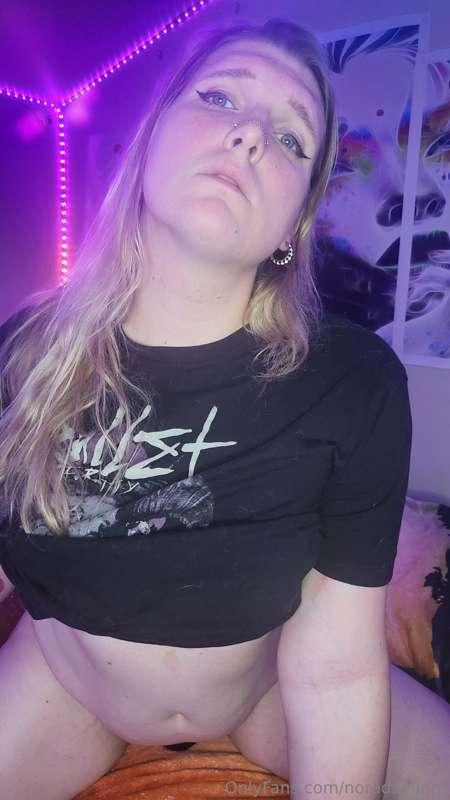 noradaylight image #12