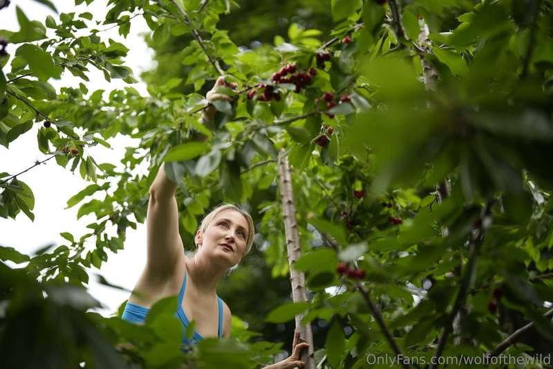 Getting my hands on some ripe, juicy cherries... wonder what..