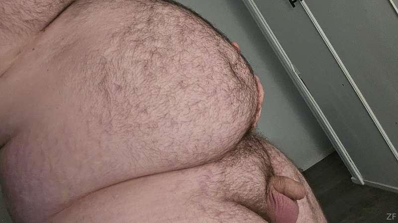 zanefitzgerald image #0