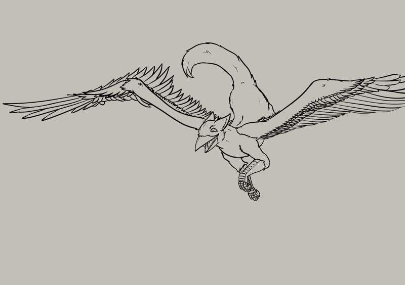 Gryph
