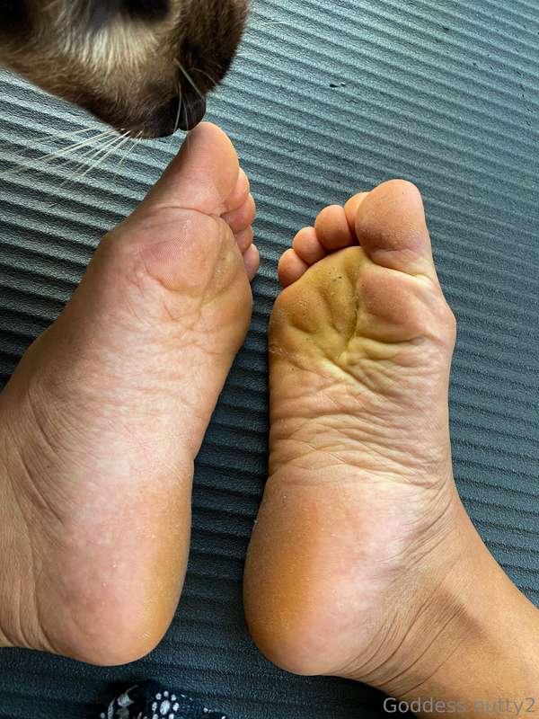 goddessnutty2 image #16