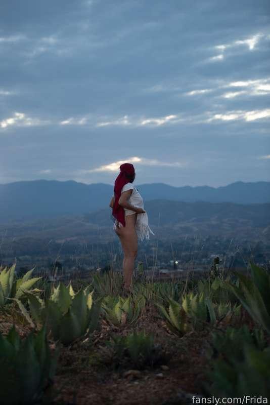frida image #6