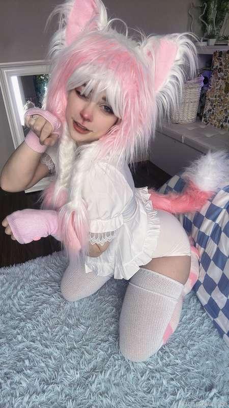 indigowhite image #123