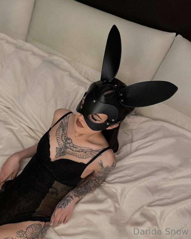 The bunny you always like, don't you think?😋