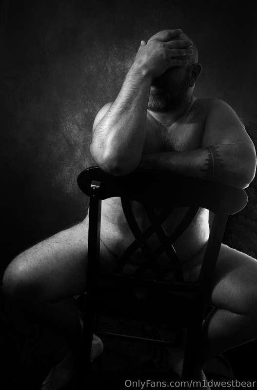 m1dwestbear image #10