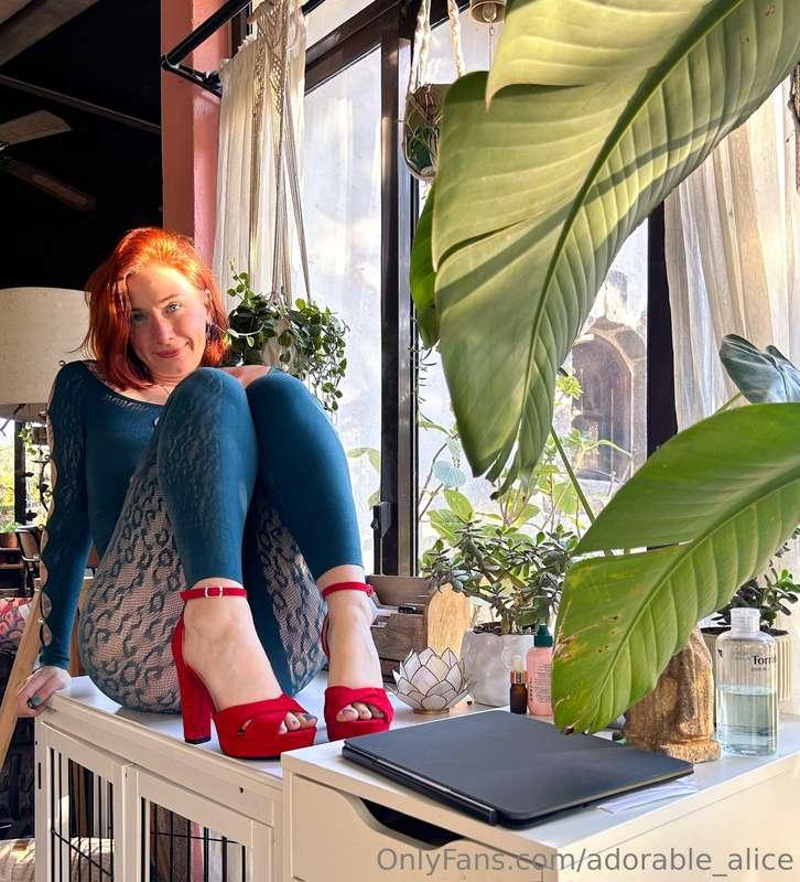 I think I remember some of you asking me about those red hee..