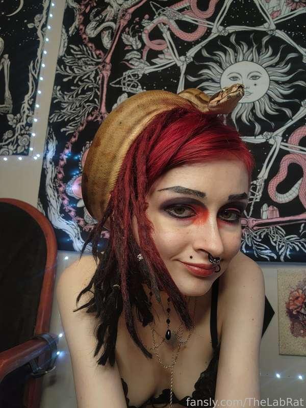 thelabrat image #2