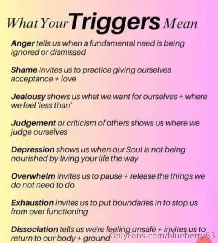 blueberry83 image #7