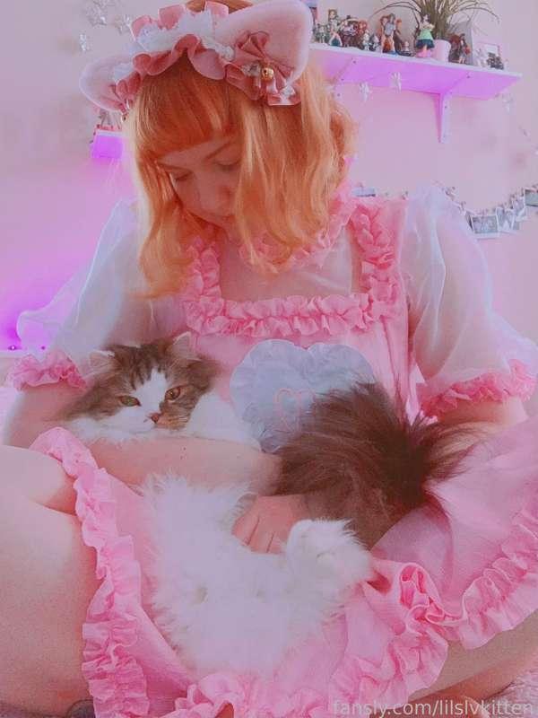 lilslvkitten image #1