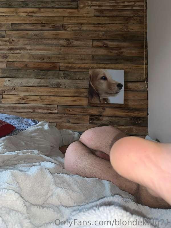 Come snuggle 🤫