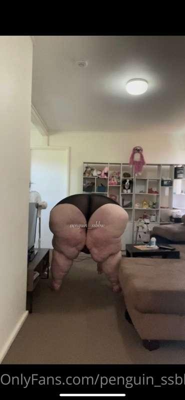 penguin_ssbbw image #3