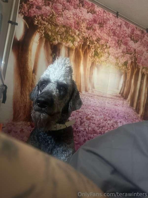 What I seen when I opened my eyes this morning. 