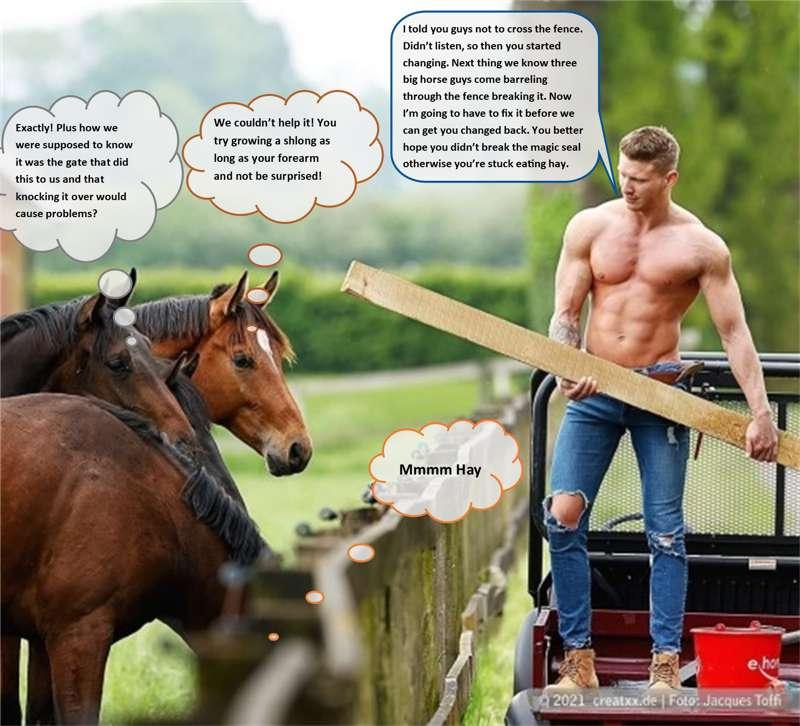 Hay