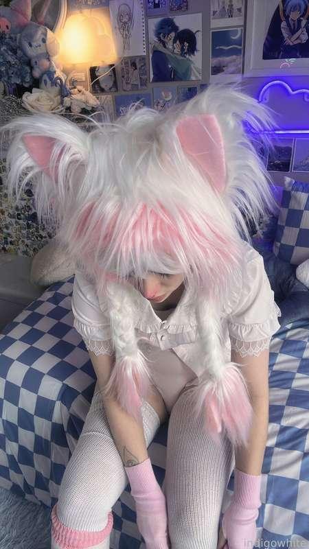 indigowhite image #146