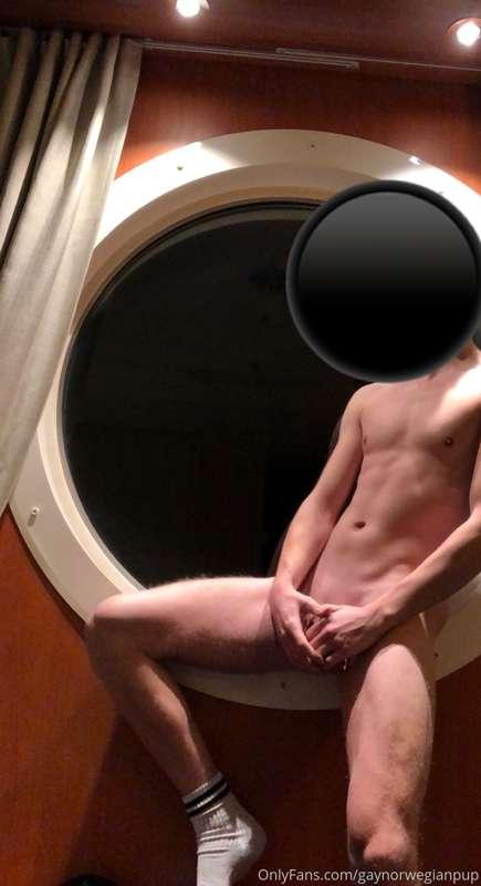 gaynorwegianpup image #1