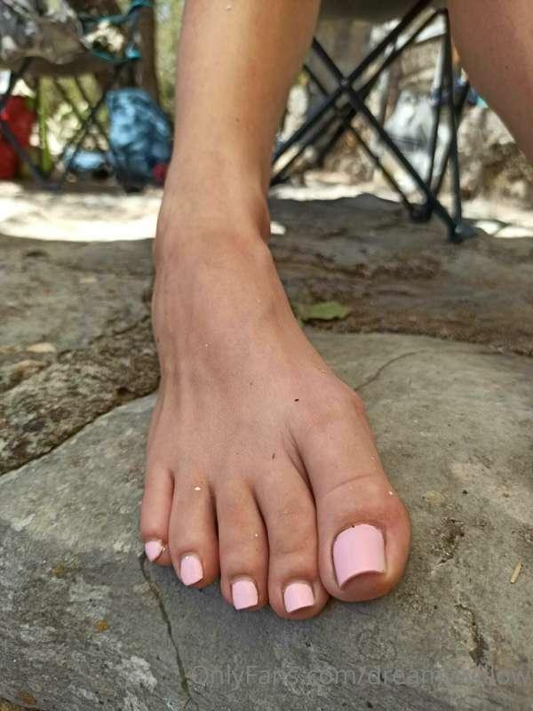 dreamywillow image #12