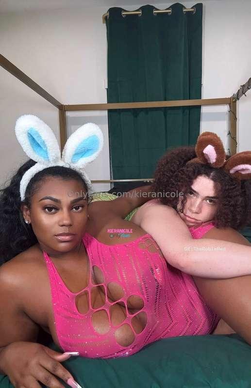 Two bad bunnies looking for a carrot