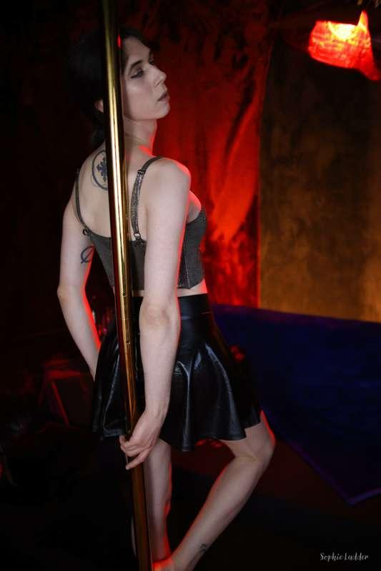 sophieladder image #0