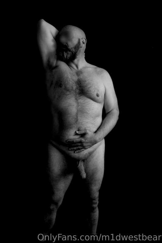 m1dwestbear image #9