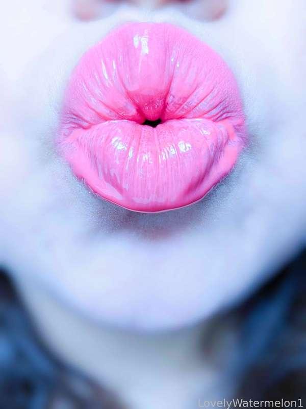 lovelywatermelon1 image #12