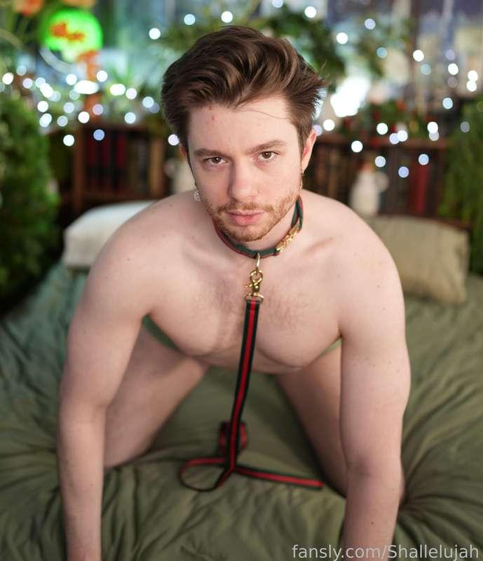 shallelujah image #13