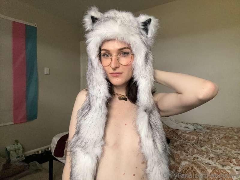Paws up!Its my twitch partner anniversary so i’ll be streami..