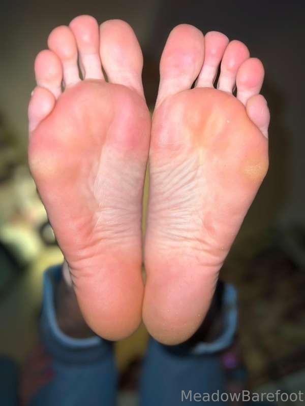meadowbarefoot image #1